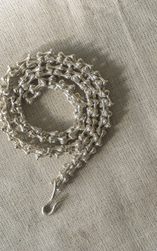 Silver bone necklace on a branch with a neutral background